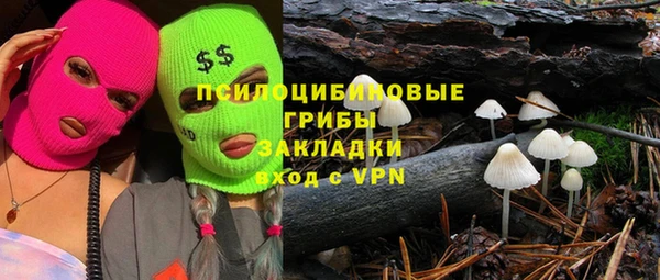 дурь Аркадак