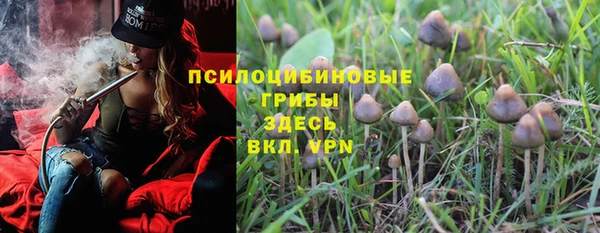 дурь Аркадак